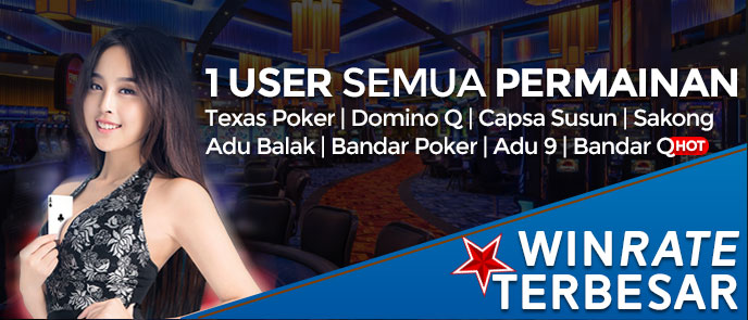 situs bandar q
